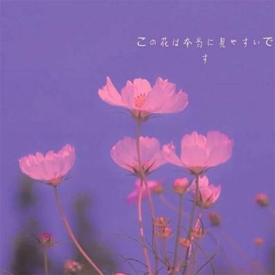 特工皇妃楚乔传手游下载